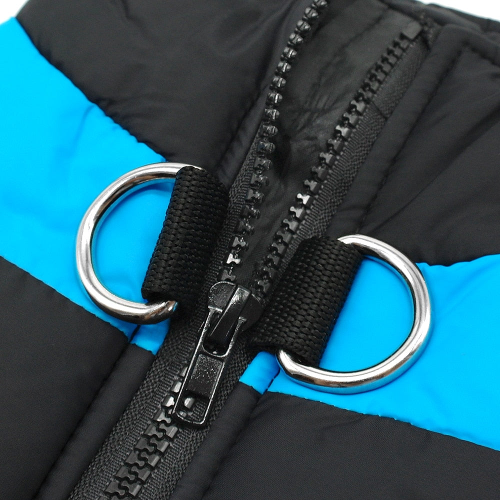 Jackies Jackets Gerronimo Range For Medium/Big Dogs