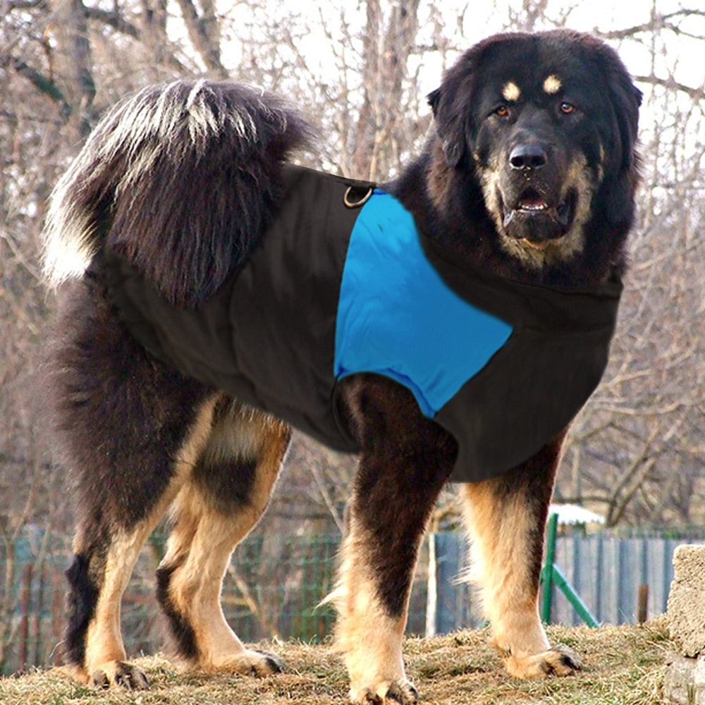 Jackies Jackets Gerronimo Range For Medium/Big Dogs