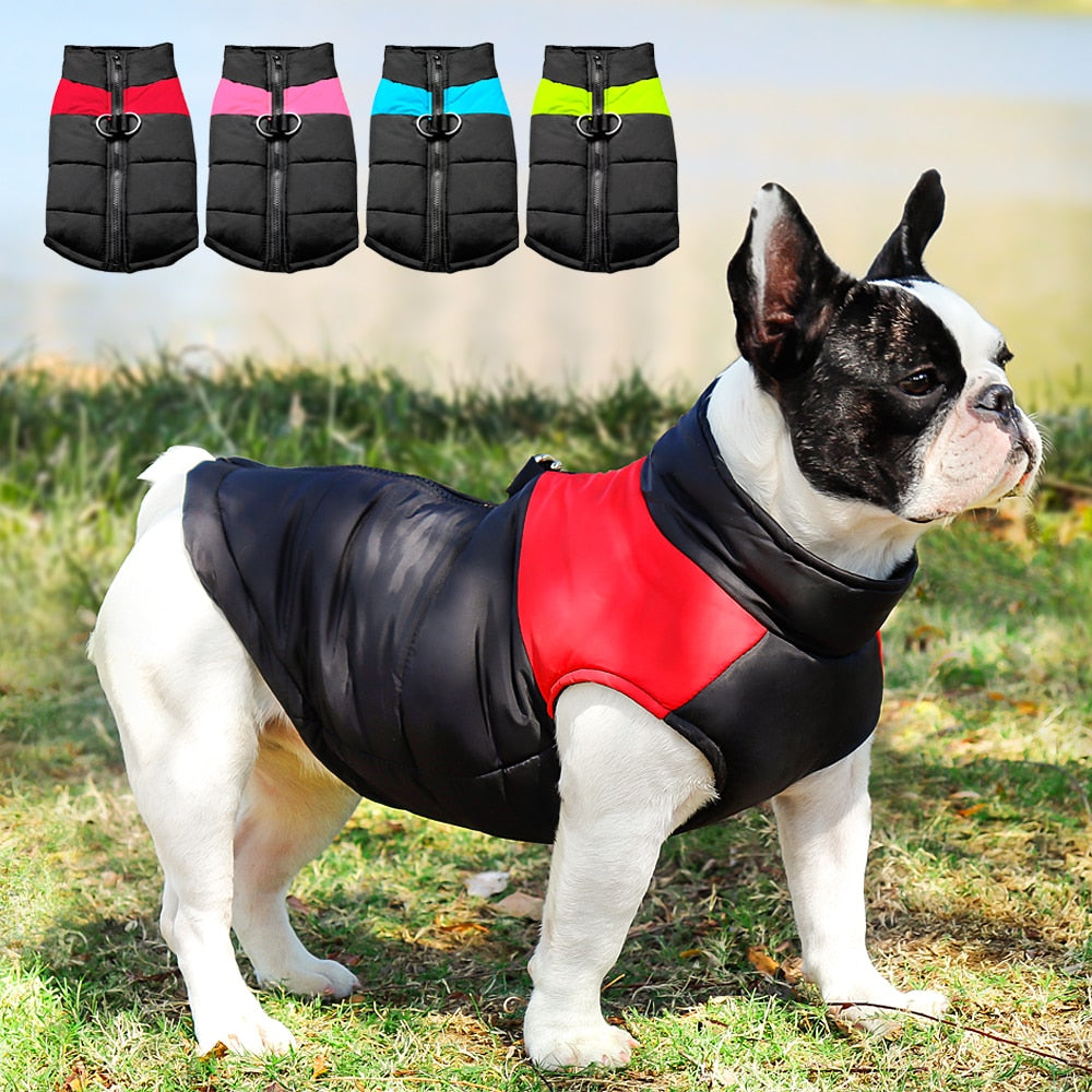 Tinker Range Waterproof Winter Jacket For Dogs