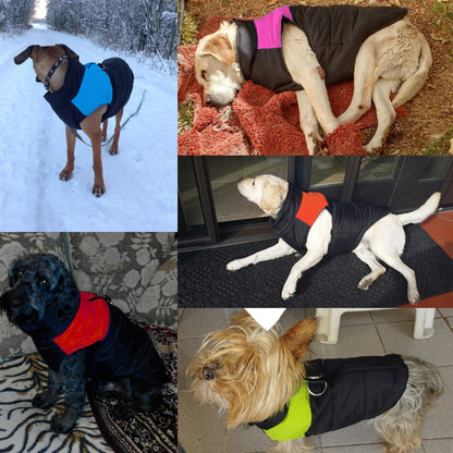 Tinker Range Waterproof Winter Jacket For Dogs