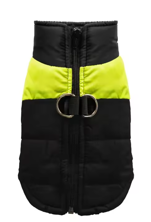 JackiesJackets™ Waterproof Dog Winter Coat with Leash D-Ring (XS–6XL)