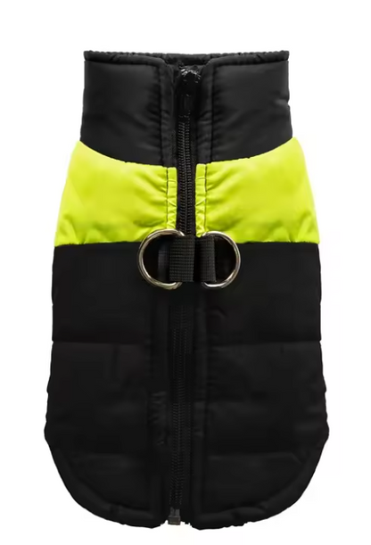 JackiesJackets™ Waterproof Dog Winter Coat with Leash D-Ring (XS–6XL)