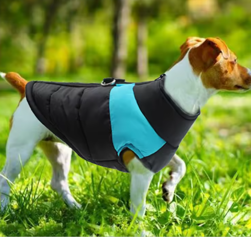 unique-single-product-in-india