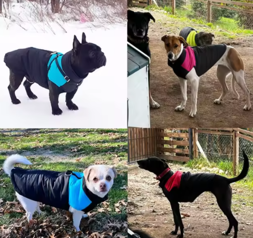 unique-single-product-in-india