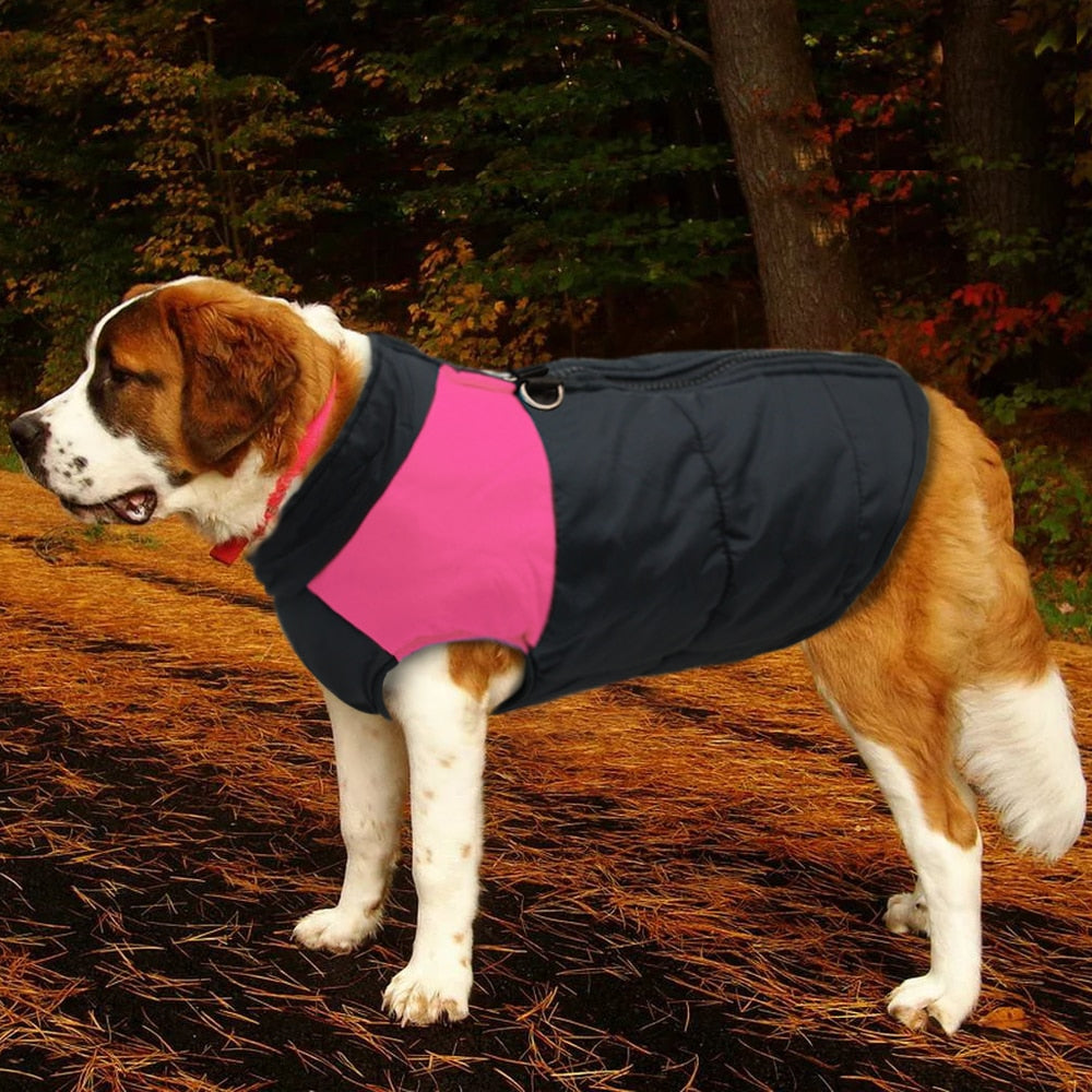 Jackies Jackets Gerronimo Range For Medium/Big Dogs